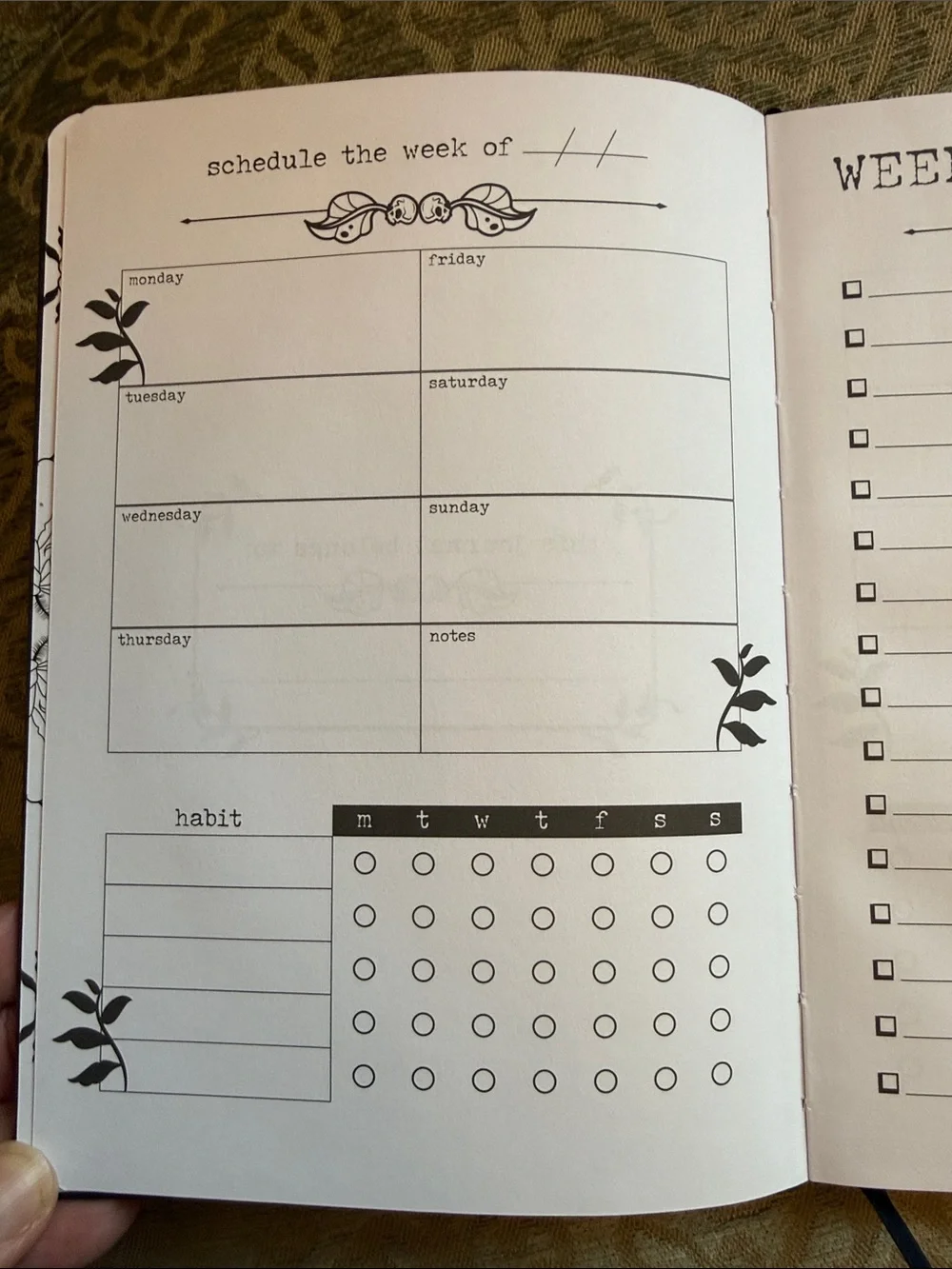 Illumicrate Scales and Wings Tasks Journal